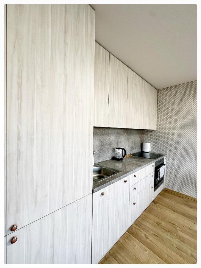 Apartaments In The City Centre كاوناس المظهر الخارجي الصورة